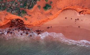 Aerial view at sunset of coast around Cape Peron at Shark Bay